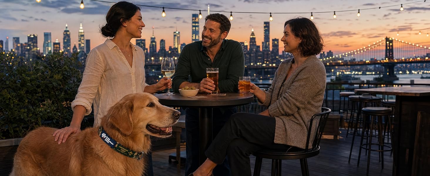 Dog wearing the American Hero collar during an evening city patio gathering