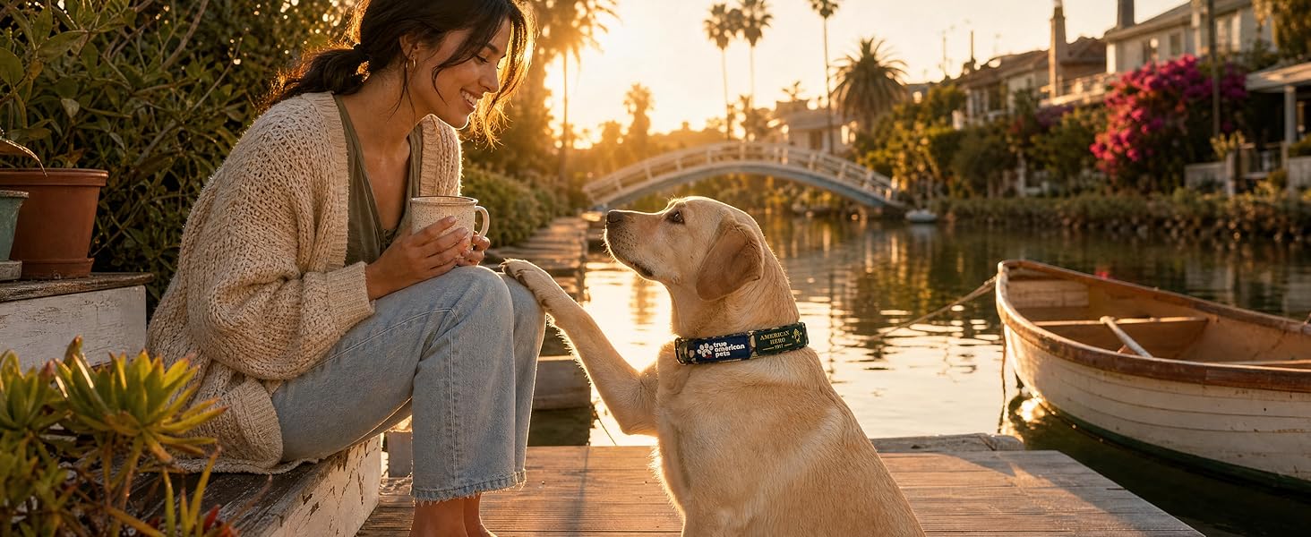Dog wearing the American Hero collar on a quiet morning canal walk