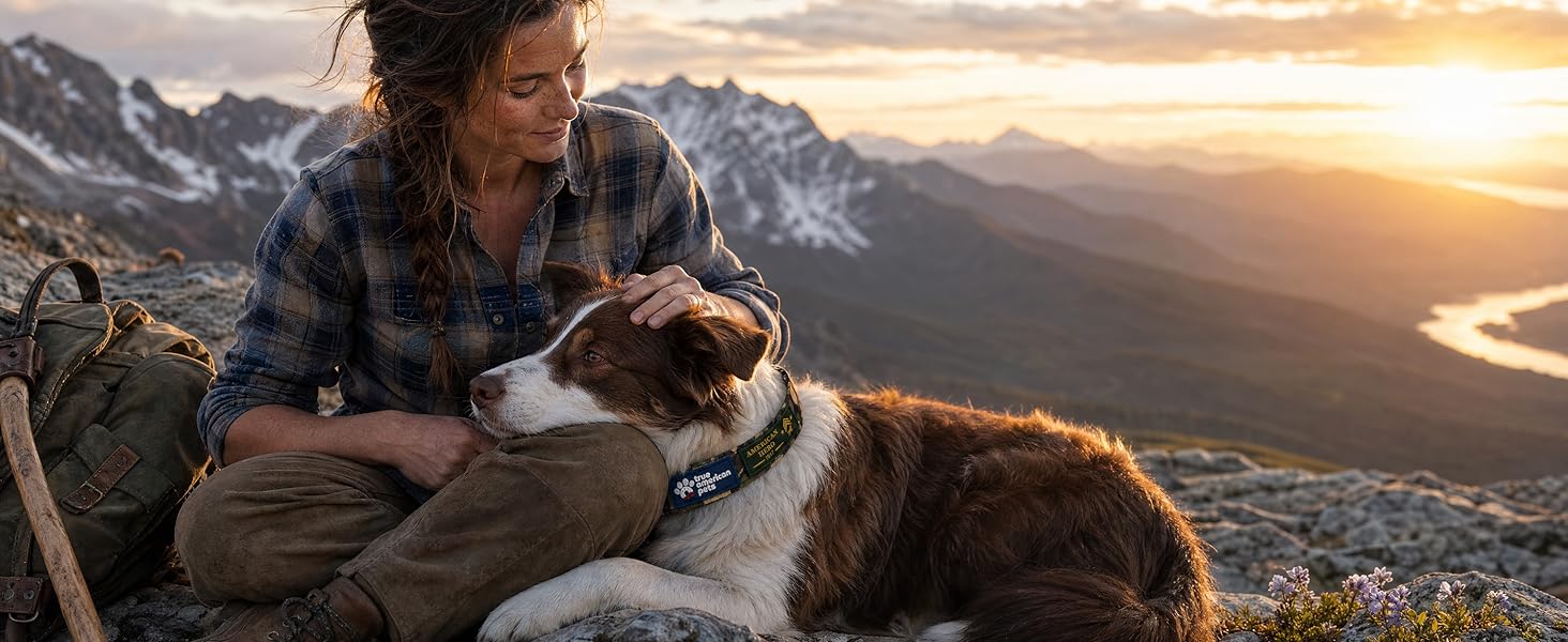 Dog wearing the American Hero collar during a mountain road trip stop